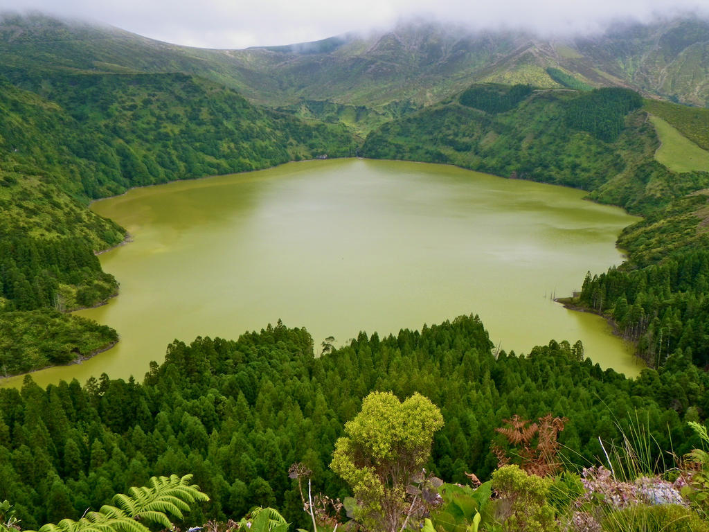 Alojamentos Flores Island Otel Faja Grande Dış mekan fotoğraf