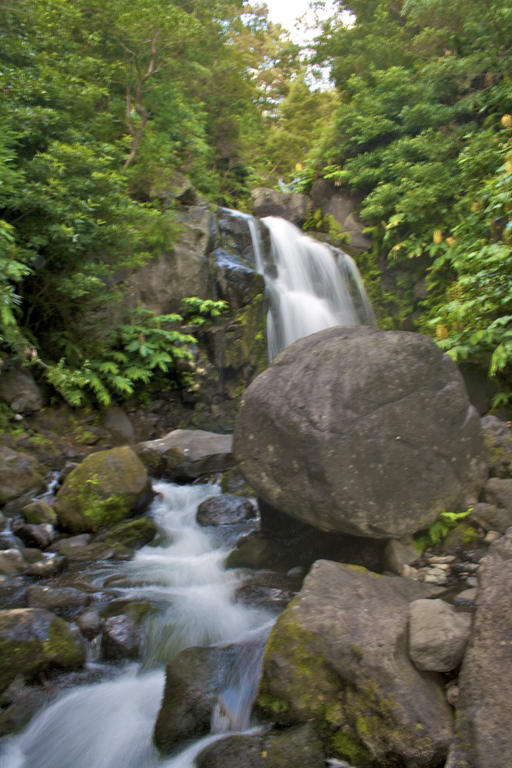 Alojamentos Flores Island Otel Faja Grande Dış mekan fotoğraf