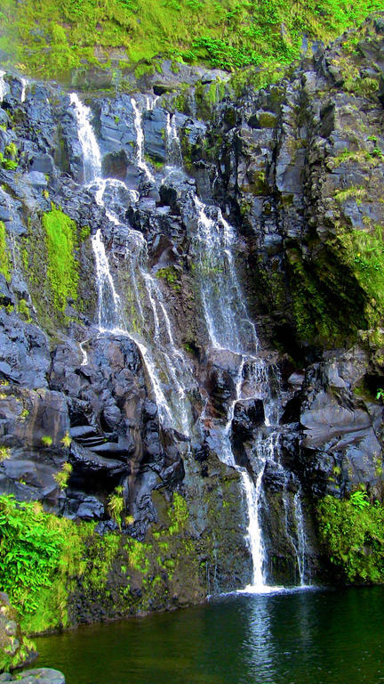 Alojamentos Flores Island Otel Faja Grande Dış mekan fotoğraf