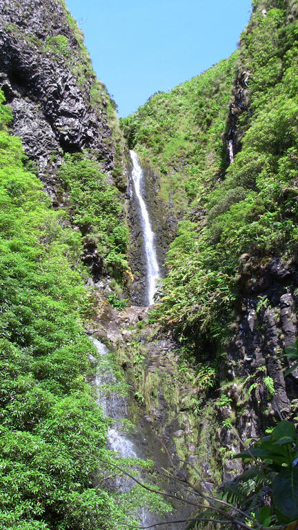 Alojamentos Flores Island Otel Faja Grande Dış mekan fotoğraf