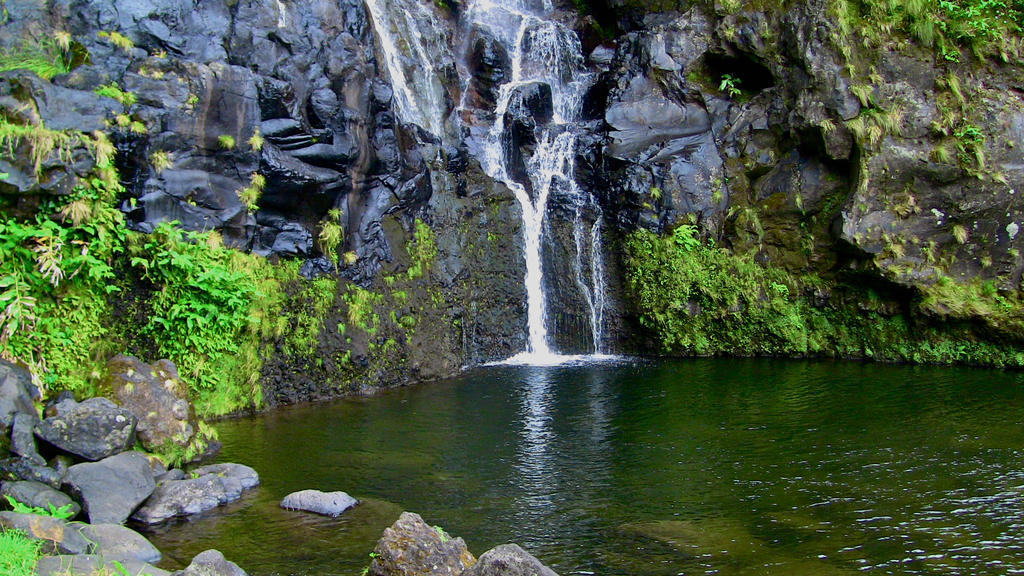 Alojamentos Flores Island Otel Faja Grande Dış mekan fotoğraf